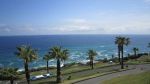 日南市のおすすめ公園一覧を見る